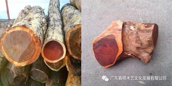 血檀和小葉紫檀到底有多像？（圖文并茂）(圖1)