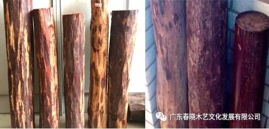 血檀和小葉紫檀到底有多像？（圖文并茂）(圖2)