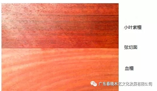 血檀和小葉紫檀到底有多像？（圖文并茂）(圖3)