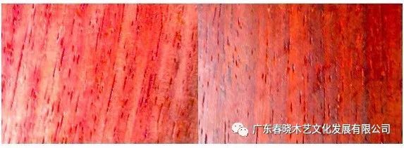 血檀和小葉紫檀到底有多像？（圖文并茂）(圖4)