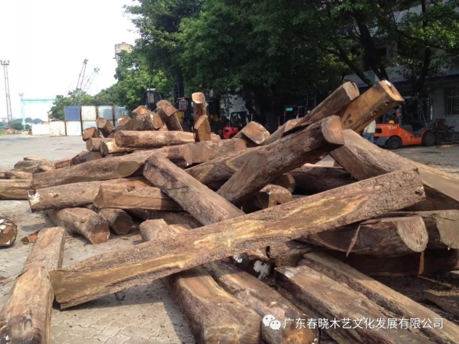 實(shí)木的價(jià)格，紅木的材質(zhì)，刺猬紫檀值得你擁有！(圖3)