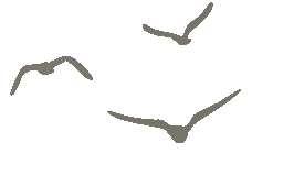 書房記：簡(jiǎn)而不減的清歡(圖6)