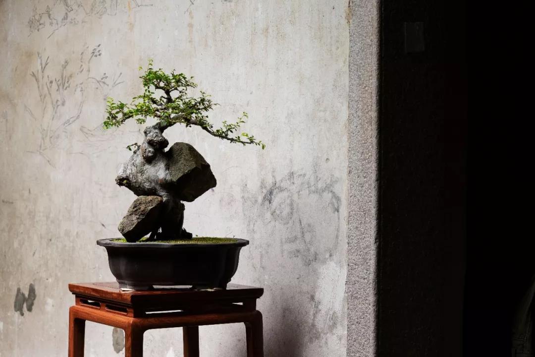 一生中，一定要愛點(diǎn)什么(圖1)