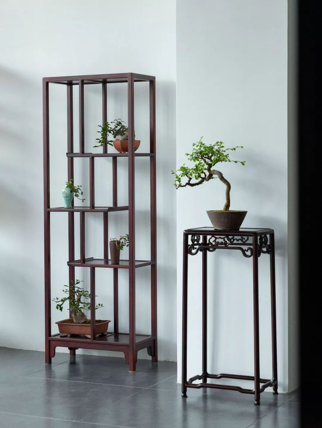 一生中，一定要愛點(diǎn)什么(圖2)