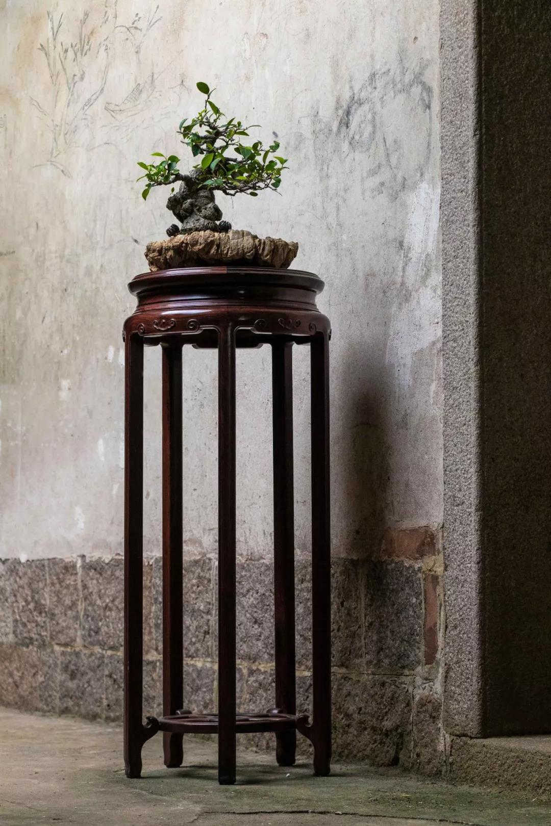 紅木家具使用中這件事不是越勤越好(圖1)