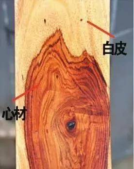 干貨分享，助您挑選好家具！(圖5)